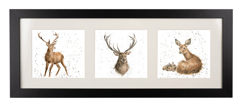 Wrendale  - A Trio of Framed Cards - Deer