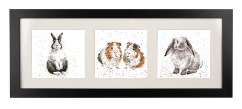 Wrendale  - A Trio of Framed Cards - Rabbits and Guinea Pigs