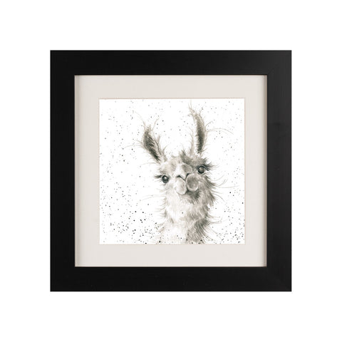 Wrendale - Framed Greeting Cards - Zoology Collection - 1