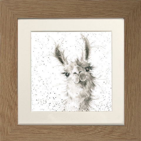 Wrendale - Framed Greeting Cards - Zoology Collection - 1