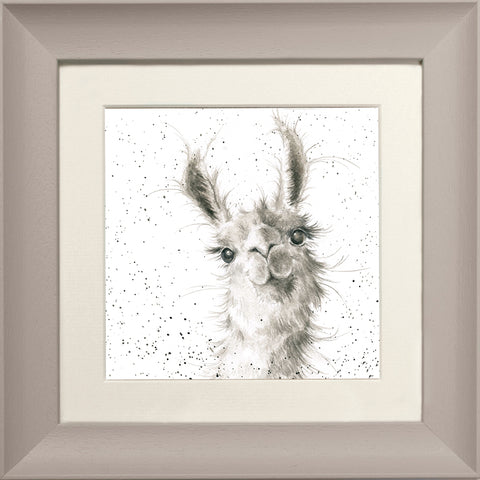 Wrendale - Framed Greeting Cards - Zoology Collection - 1