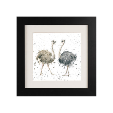 Wrendale - Framed Greeting Cards - Zoology Collection - 1