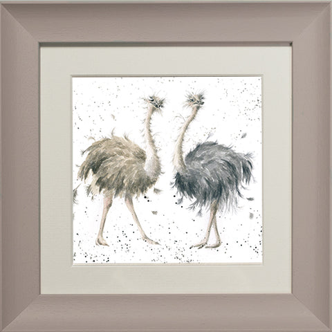 Wrendale - Framed Greeting Cards - Zoology Collection - 1