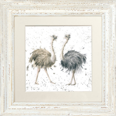 Wrendale - Framed Greeting Cards - Zoology Collection - 1