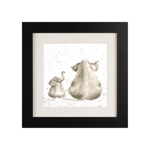 Wrendale - Framed Greeting Cards - Zoology Collection - 1