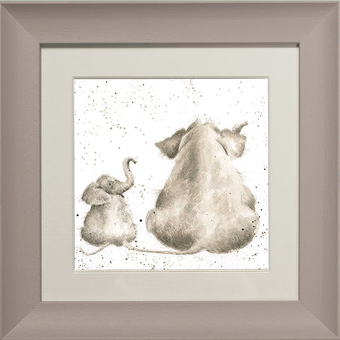 Wrendale - Framed Greeting Cards - Zoology Collection - 1