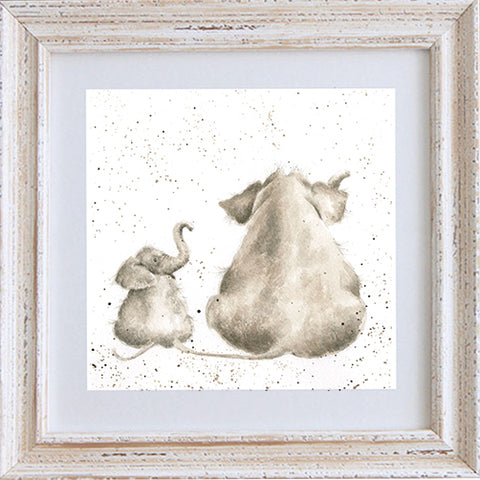 Wrendale - Framed Greeting Cards - Zoology Collection - 1