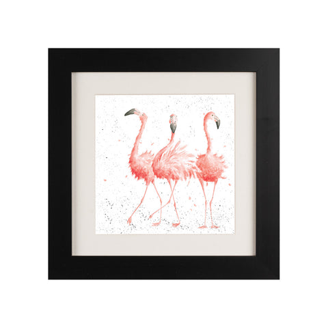 Wrendale - Framed Greeting Cards - Zoology Collection - 1