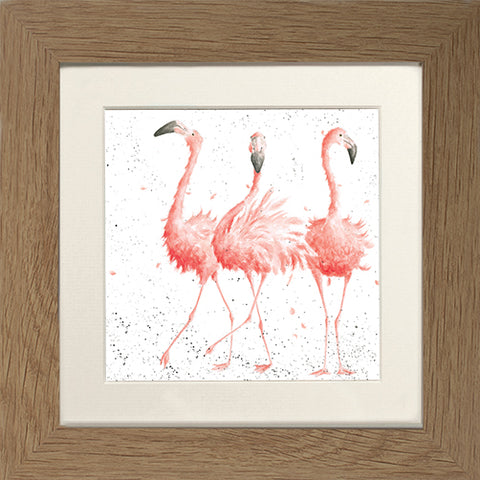 Wrendale - Framed Greeting Cards - Zoology Collection - 1