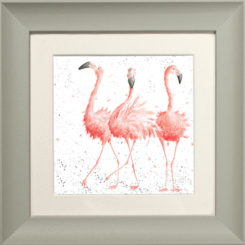 Wrendale - Framed Greeting Cards - Zoology Collection - 1
