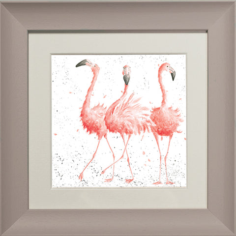 Wrendale - Framed Greeting Cards - Zoology Collection - 1