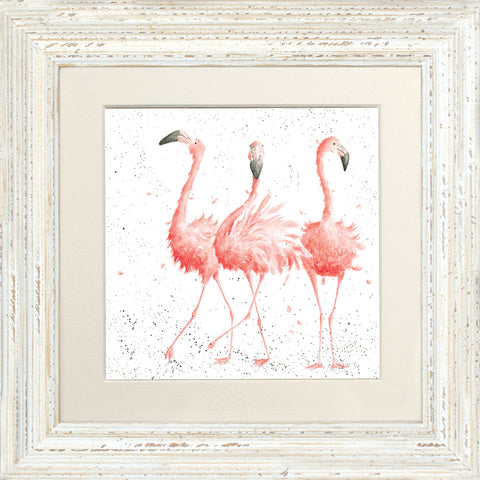 Wrendale - Framed Greeting Cards - Zoology Collection - 1