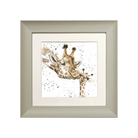 Wrendale - Framed Greeting Cards - Zoology Collection - 1