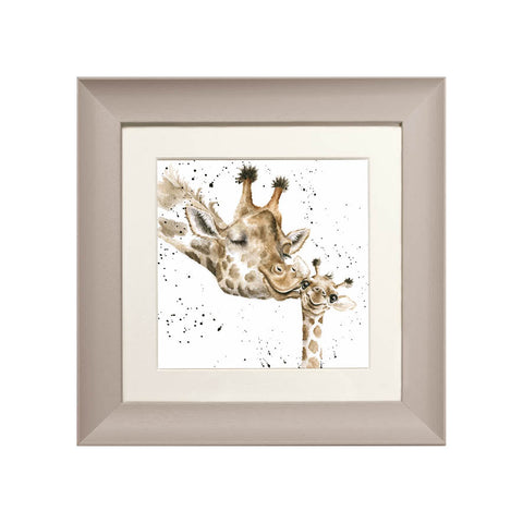 Wrendale - Framed Greeting Cards - Zoology Collection - 1
