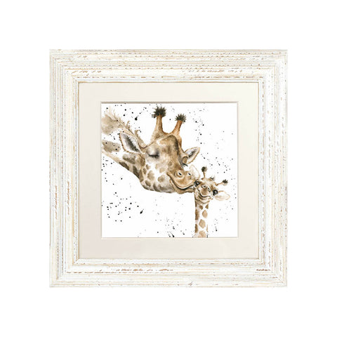 Wrendale - Framed Greeting Cards - Zoology Collection - 1