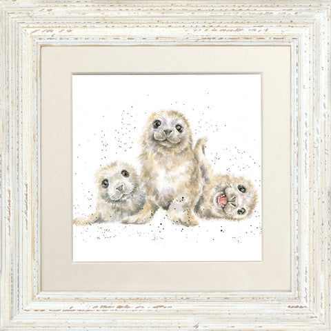 Wrendale - Framed Greeting Cards - Zoology Collection - 3