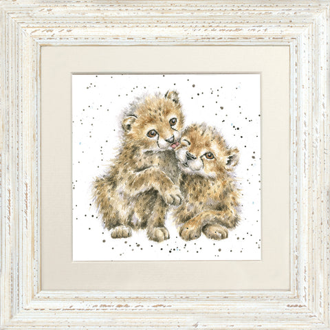 Wrendale - Framed Greeting Cards - Zoology Collection - 3