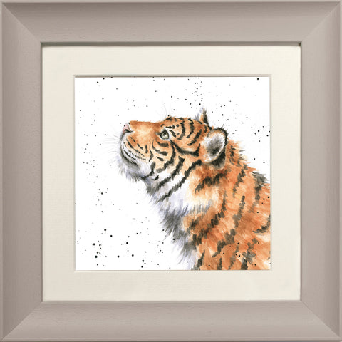 Wrendale - Framed Greeting Cards - Zoology Collection - 3