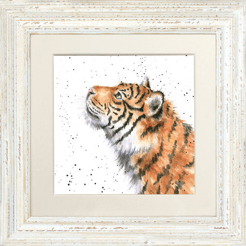 Wrendale - Framed Greeting Cards - Zoology Collection - 3