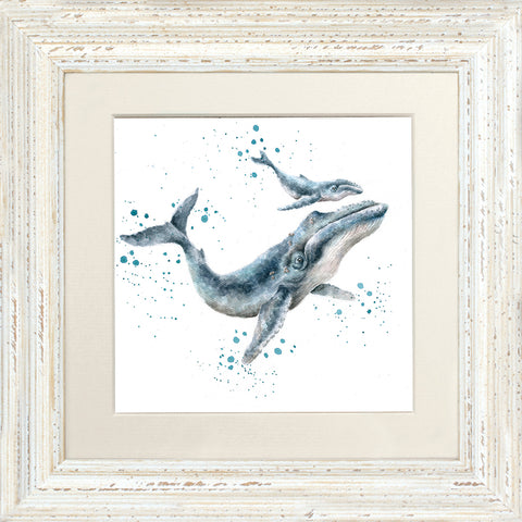 Wrendale - Framed Greeting Cards - Zoology Collection - 3
