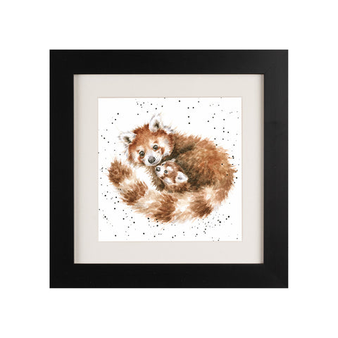 Wrendale - Framed Greeting Cards - Zoology Collection - 3