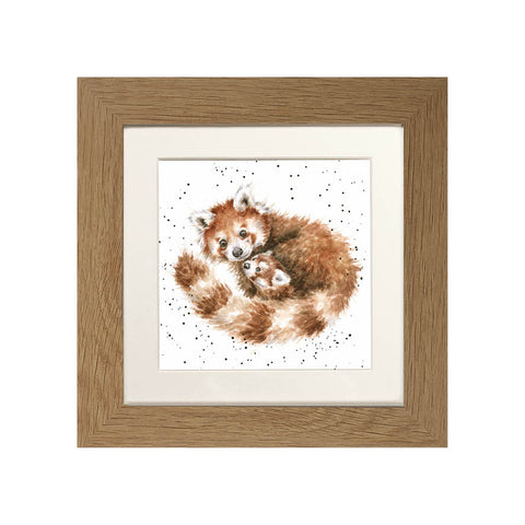 Wrendale - Framed Greeting Cards - Zoology Collection - 3