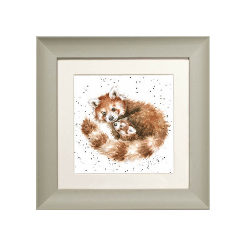 Wrendale - Framed Greeting Cards - Zoology Collection - 3