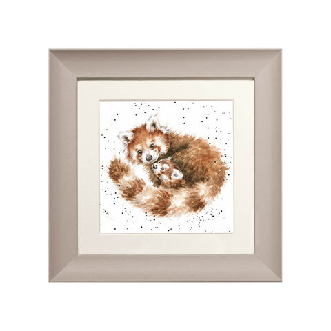 Wrendale - Framed Greeting Cards - Zoology Collection - 3