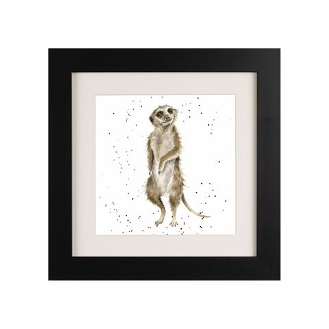 Wrendale - Framed Greeting Cards - Zoology Collection - 3