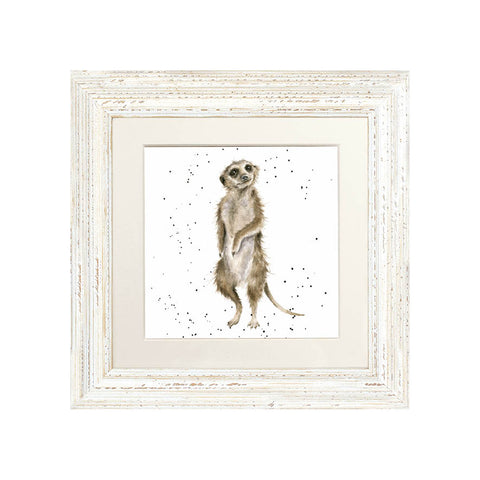 Wrendale - Framed Greeting Cards - Zoology Collection - 3