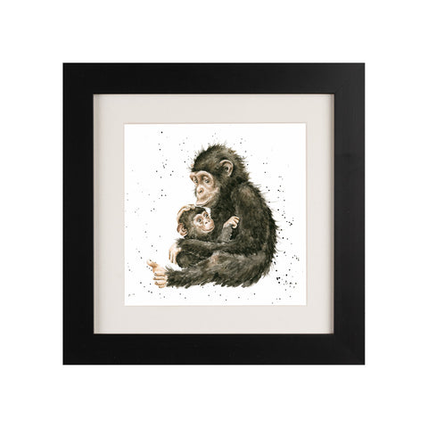 Wrendale - Framed Greeting Cards - Zoology Collection - 3