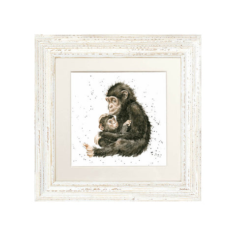 Wrendale - Framed Greeting Cards - Zoology Collection - 3