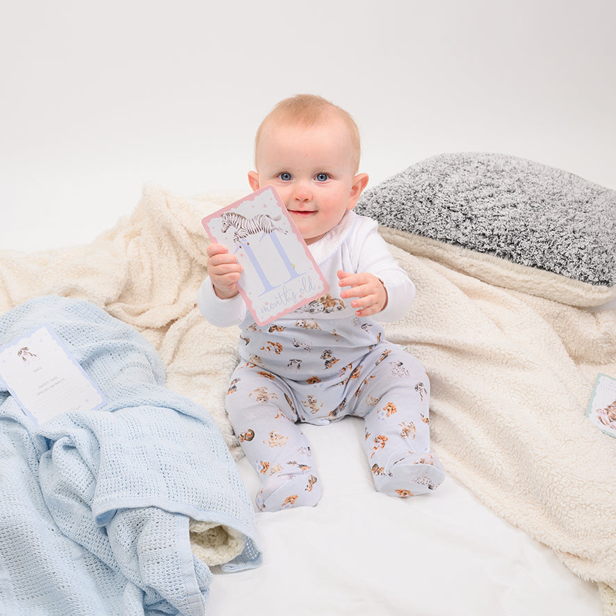 Wrendale - Little Wren Baby Collection - Milestone Cards