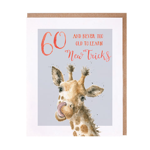 Wrendale - Greeting Cards - Party Animal Age