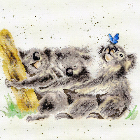 Bothy Threads - Wrendale - Cross Stitch Kit - Three of a Kind - Koalas