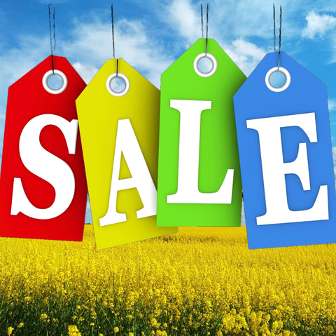 WINTER SALE