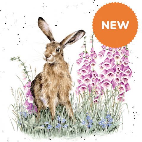 WRENDALE WILD GARDEN COLLECTION