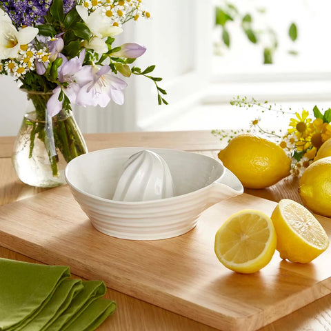 NEW - Sophie Conran - Juicer