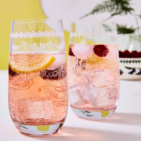 Botanic Garden - Hi Ball Glass - Gift Box Set of 4