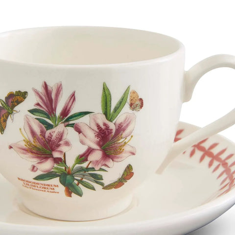 Botanic Garden Meadow - Set of 6 Tea Cups & Saucers