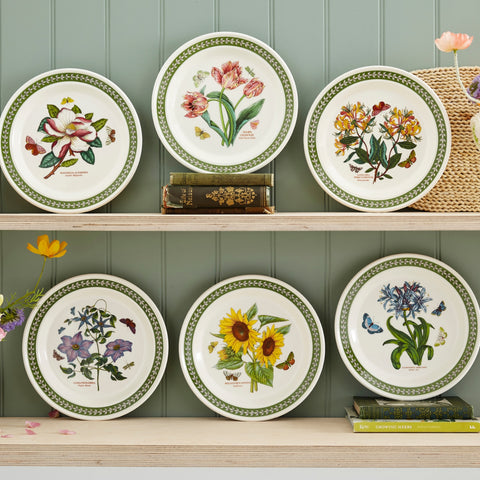 NEW - Botanic Garden Etchings - Set of 6 Dinner Plates - 26.5cm / 10.4"