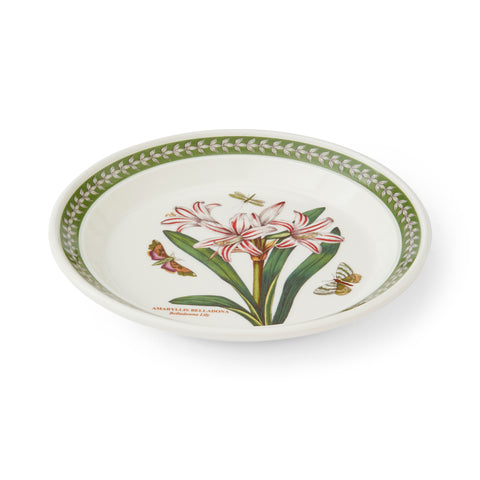 NEW - Botanic Garden Etchings - Set of 6 Salad Plates - 21.5cm / 8.4"