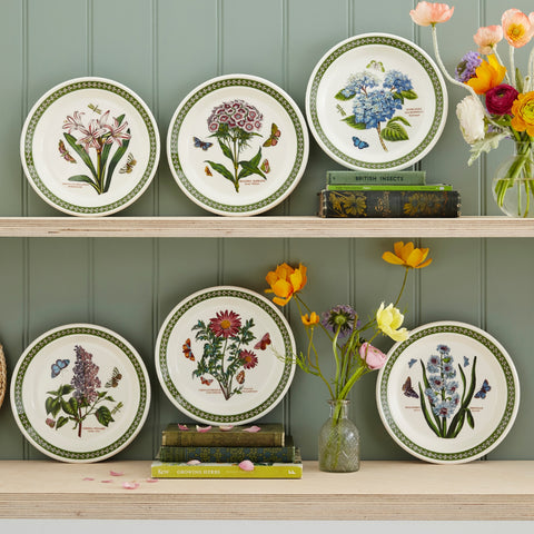 NEW - Botanic Garden Etchings - Set of 6 Salad Plates - 21.5cm / 8.4"