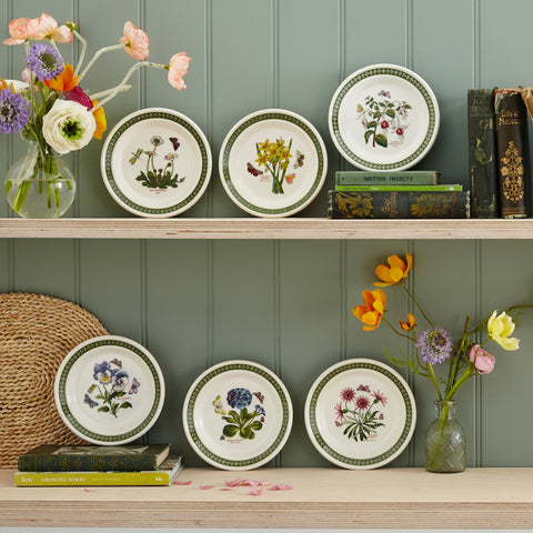 NEW - Botanic Garden Etchings - Set of 6 Side Plates - 16.3cm / 6.4"