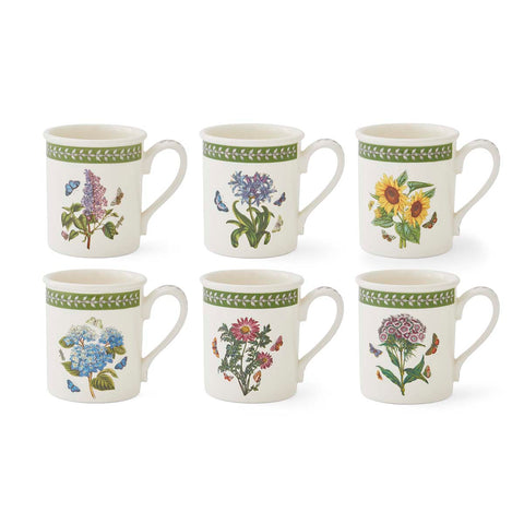 NEW - Botanic Garden Etchings - Set of 6 Breakfast Mugs