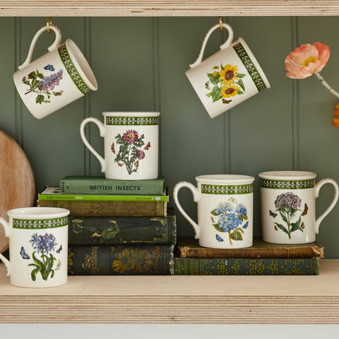 NEW - Botanic Garden Etchings - Set of 6 Breakfast Mugs