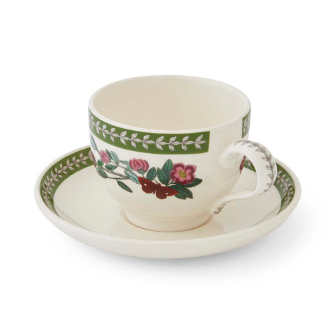 NEW - Botanic Garden Etchings - Set of 6 Tea Cups & Saucers