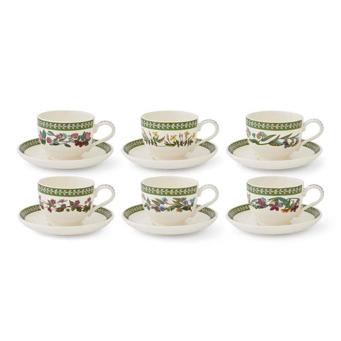 NEW - Botanic Garden Etchings - Set of 6 Tea Cups & Saucers