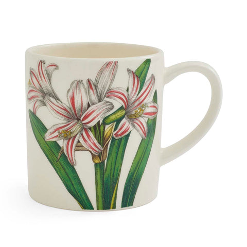 Portmeirion - Bloom Garden - Coffee Mug - 6 Designs
