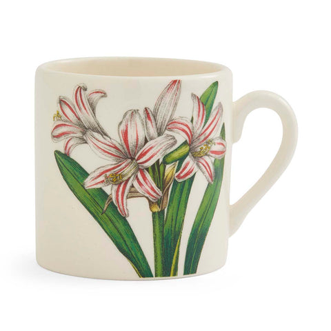 NEW - Portmeirion - Bloom Garden - Espresso Cup - 6 Designs